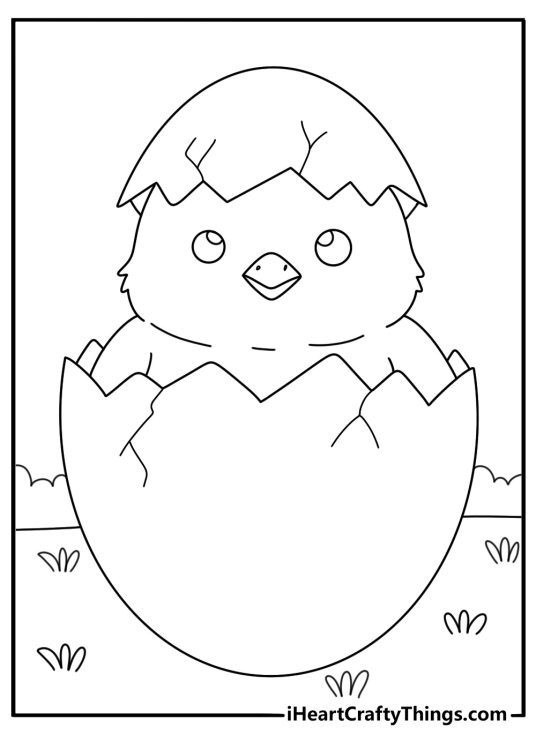 Chicken Coloring Pages (50 Free PDF Printables)