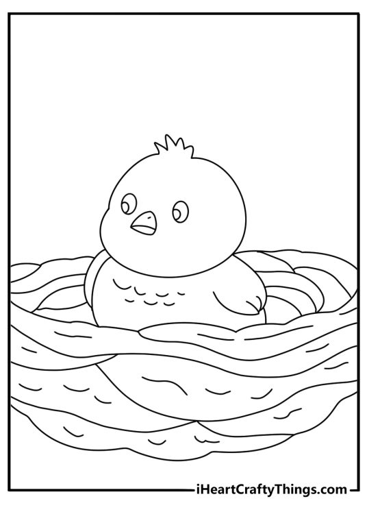 Baby chicken coloring page showing tiny chick exploring straw nest