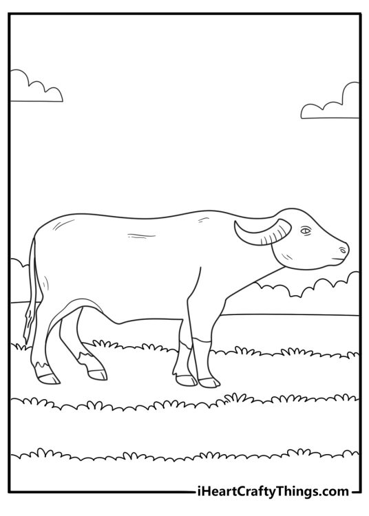 Buffalo near fence in grassy habitat zoo coloring page for kids
