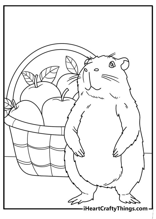 Capybara coloring page for kids with a capybara beside a basket of fruit