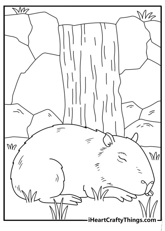 Capybara coloring page with a capybara resting beside a small waterfall