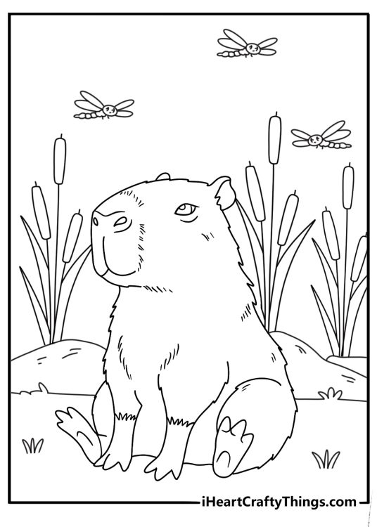 Capybara coloring sheet with a capybara near cattails and dragonflies