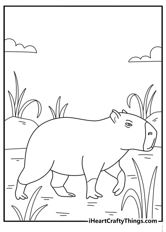 Capybara coloring sheet with a capybara walking through tall reeds