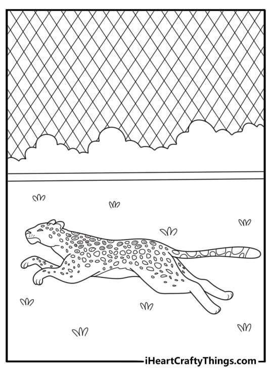 Cheetah running across enclosure realistic zoo coloring page for adults