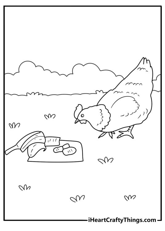 Chicken banana coloring page with curious hen pecking ripe banana on ground