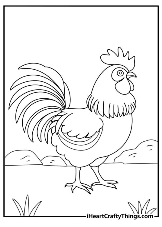 Chicken coloring pages