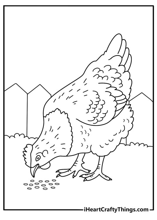 Chicken eating seeds in a farmyard free printable coloring page