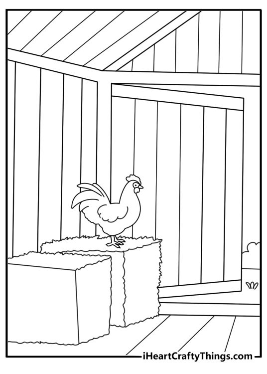 Chicken on a farm with hay detailed coloring sheet