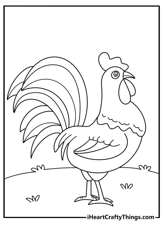 Chicken themed coloring image of a cute cartoony rooster with a huge ridge and beads and a voluminous tail