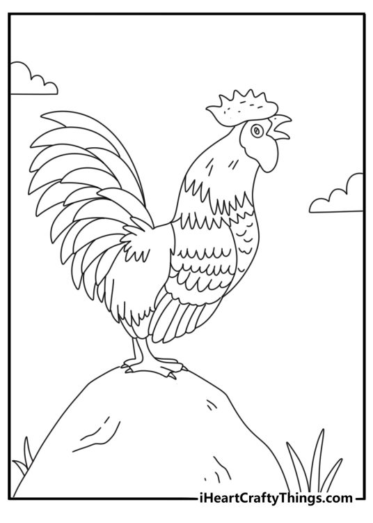 Chicken themed coloring page presenting a proud rooster standing on a rock and crowing