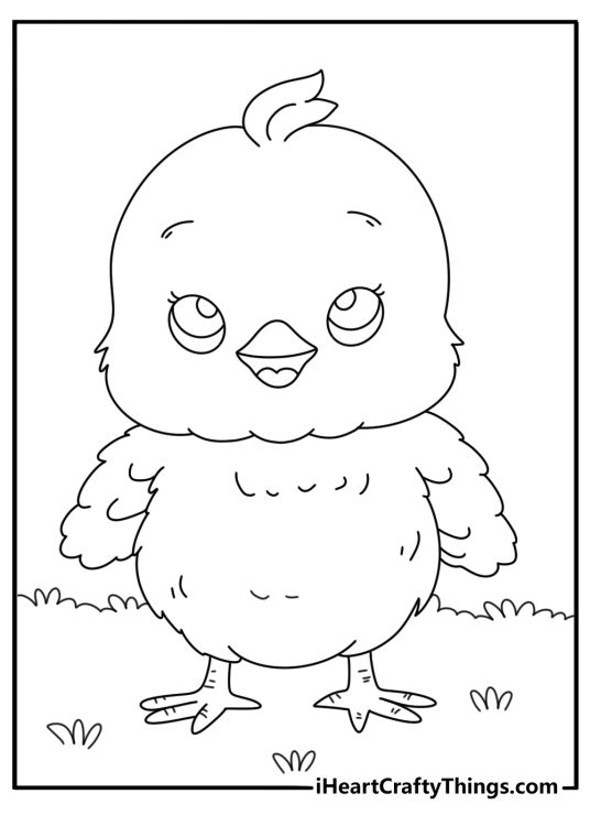 Chicken themed poster featuring cute little chick with a fluffy tuft of feathers on its head