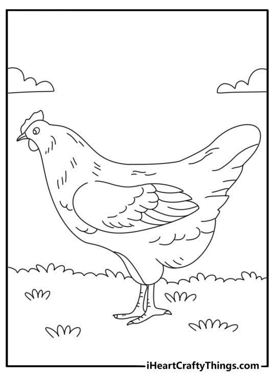 Chicken walking in a grassy yard fun coloring sheet