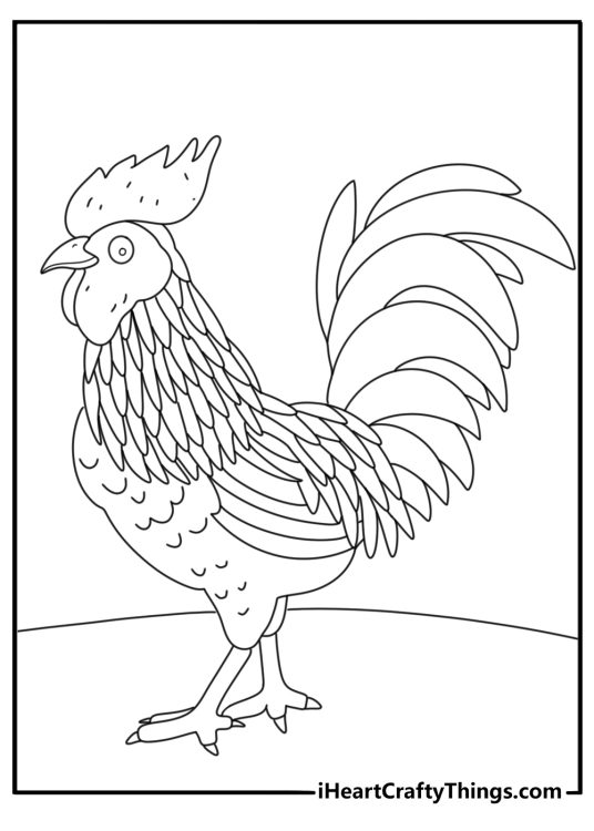 Chicken with feathers and a big comb detailed coloring sheet