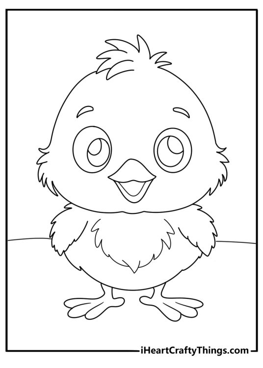Coloring image of a happy little chicken with beak open slightly as it gazes with wide eyes