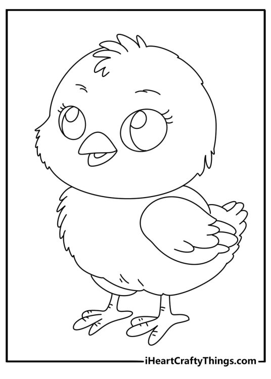 Coloring picture featuring little fluffy chicken with tiny wings tucked at its sides
