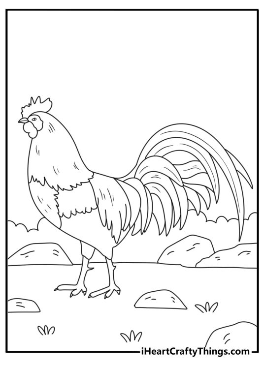 Coloring picture for pre schoolers featuring an adult chicken on a walk outdoors