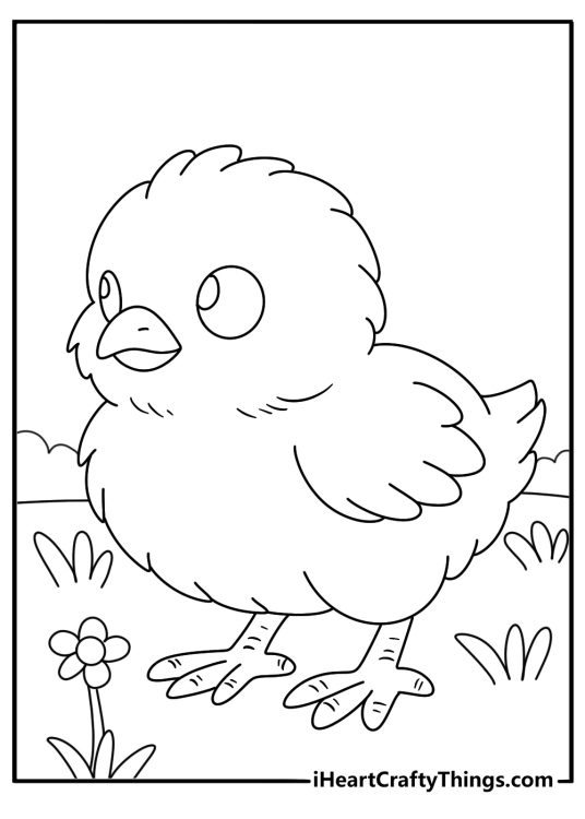 Cute baby chick detailed coloring sheet