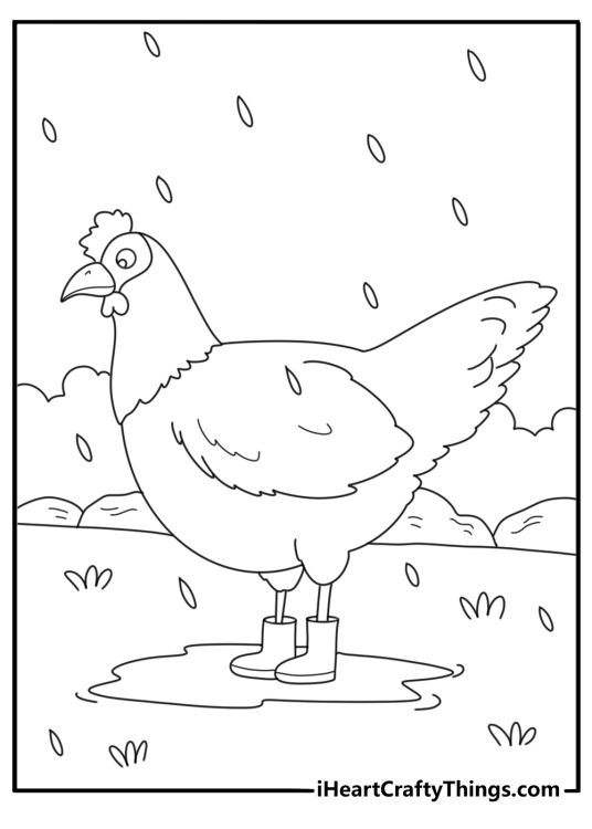 Cute chicken coloring page showing round hen in rain boots during farm rain
