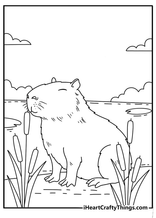 Detailed capybara coloring page with fur lines and river plants
