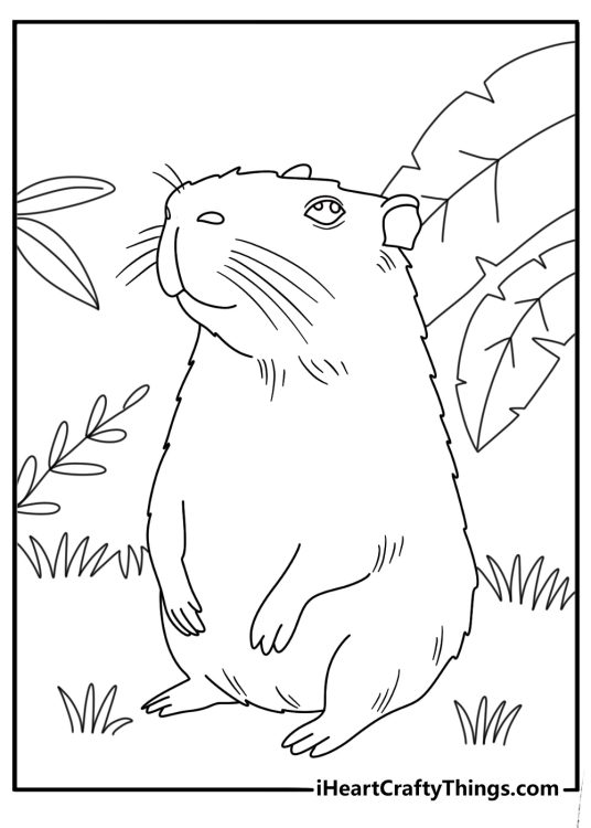 Detailed capybara printable for adults with jungle leaves around a capybara
