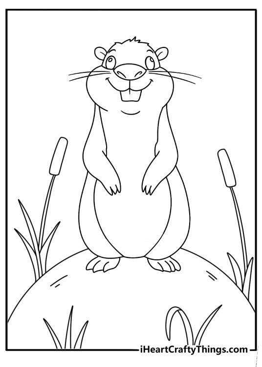 Easy capybara coloring page with a capybara near smooth stones