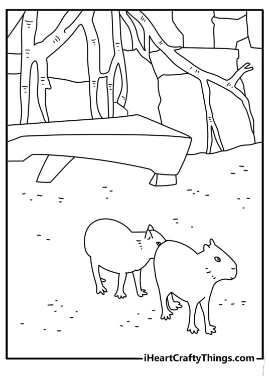 Free capybara coloring pages printable with a capybara in a zoo enclosure