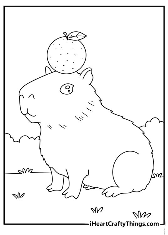 Free capybara printable of a capybara carrying an orange on its head