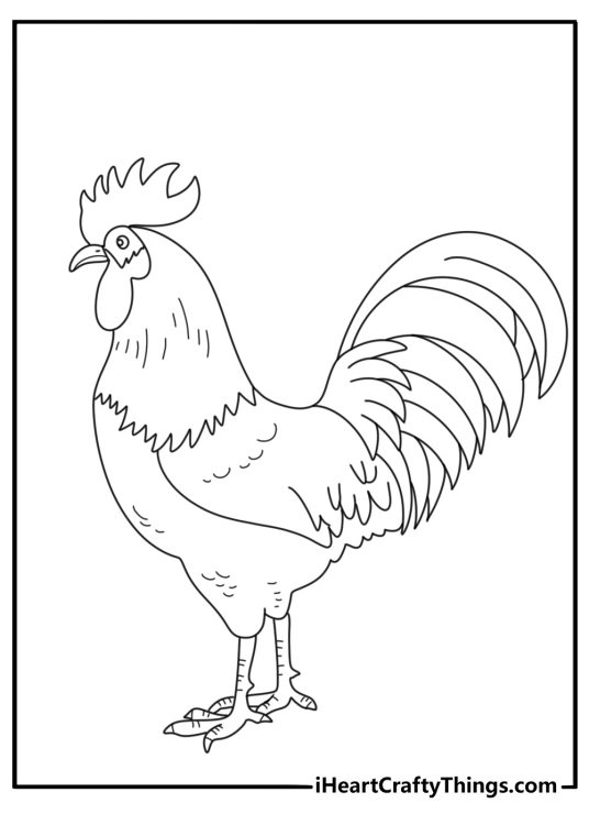 Free chicken themed coloring picture featuring a petite chicken with voluminous tail