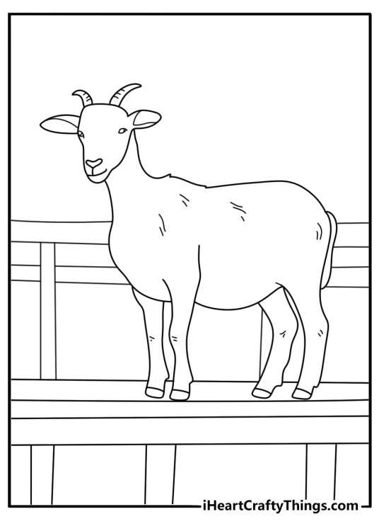 Goat standing on wooden platform in petting zoo coloring page for kids