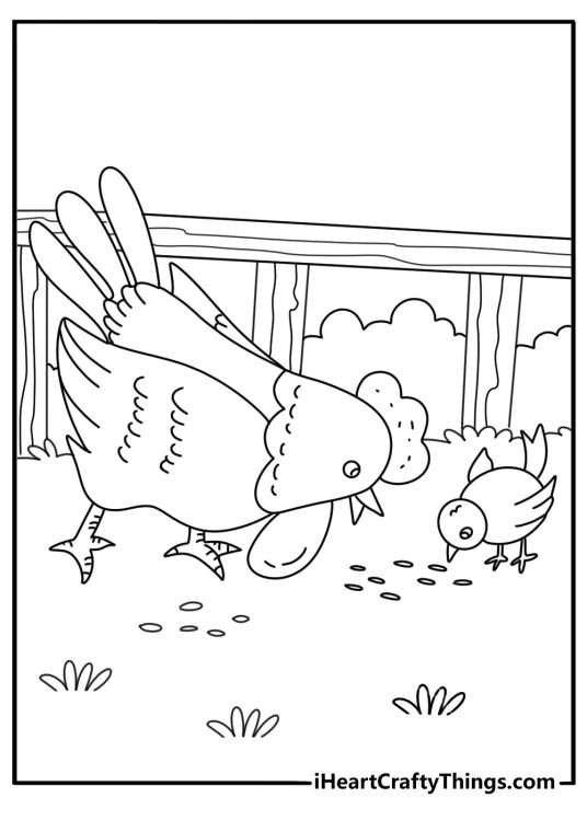 Hen and chicks pecking at the ground detailed coloring sheet