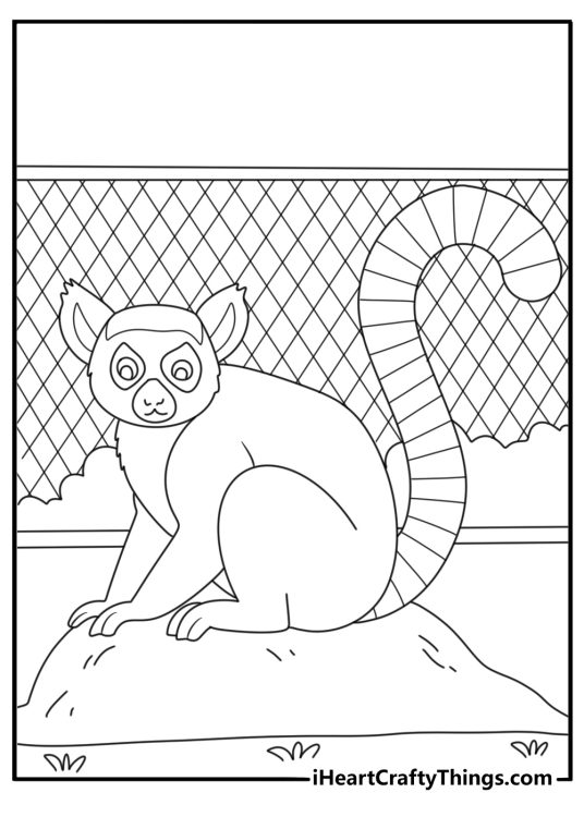 Lemur sitting on rock with long tail zoo coloring page paf
