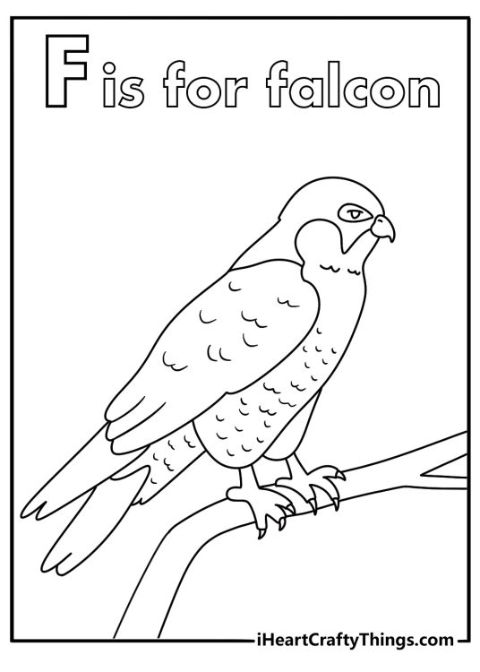 Letter F coloring pages for kids with a falcon perched on a branch