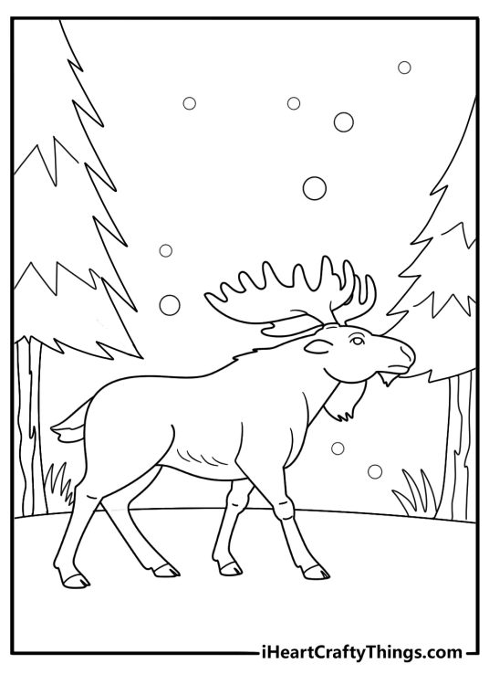 Moose walking through a snowy forest detailed coloring page