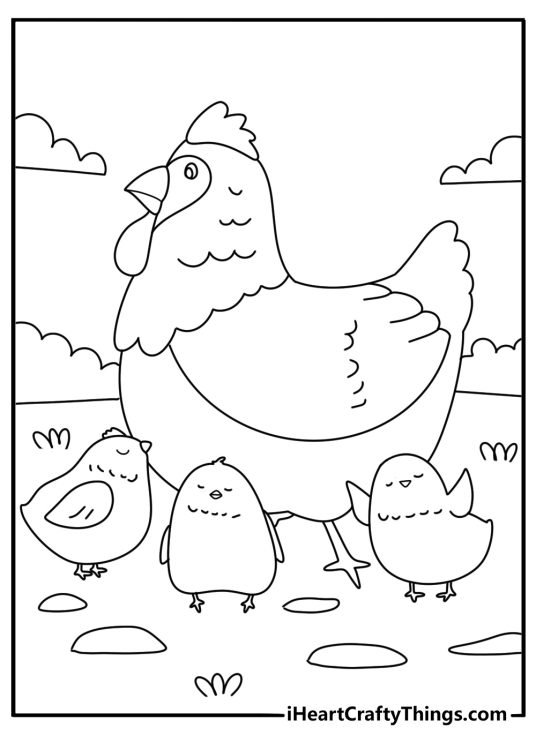 Mother hen with her baby chicks printable coloring page
