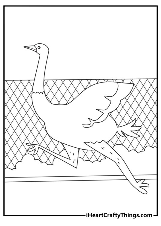 Ostrich running across open enclosure simple zoo animal coloring page