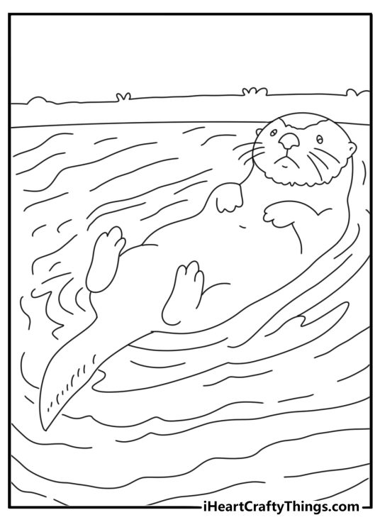 Otter floating on back in water zoo coloring page free