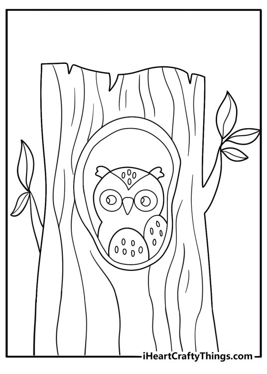 Owls resting inside a hollow snowy tree fun winter coloring page