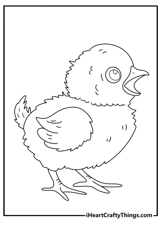 Printable coloring sheet for pre schoolers presenting cute little chick with empty background