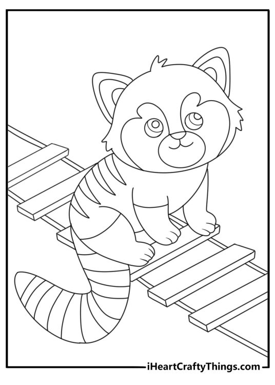 Red panda climbing wooden ladder in zoo animal coloring sheet