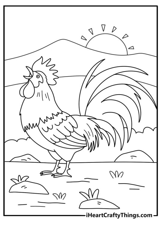 Rooster with a loud crow free coloring page pdf