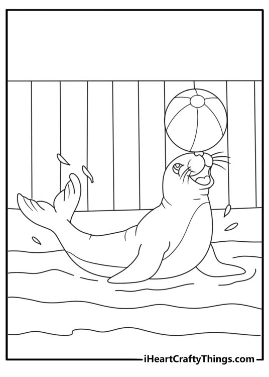 Seal balancing ball on nose at marine area zoo coloring sheet