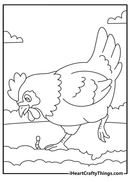 Simple chicken coloring page with farm hen scratching soil for worms