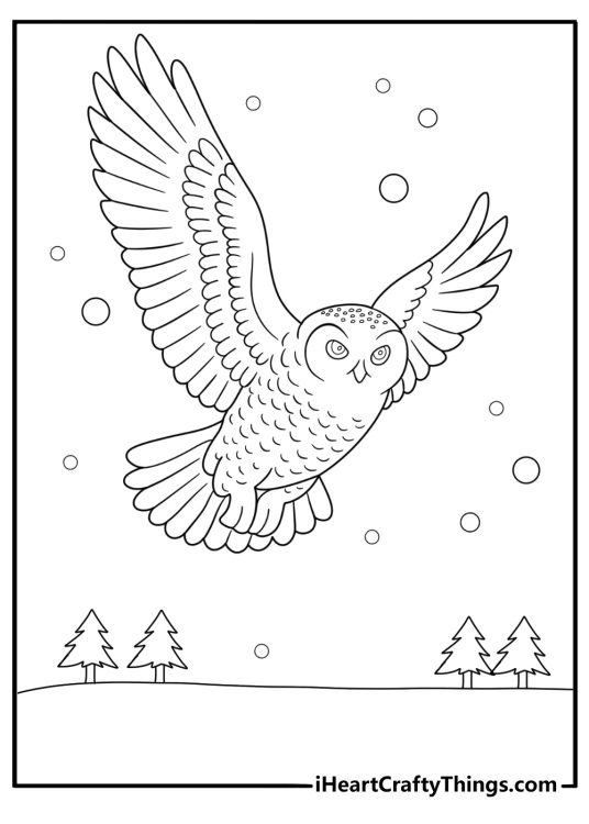 Snow owl flying above snowy field easy winter coloring sheet