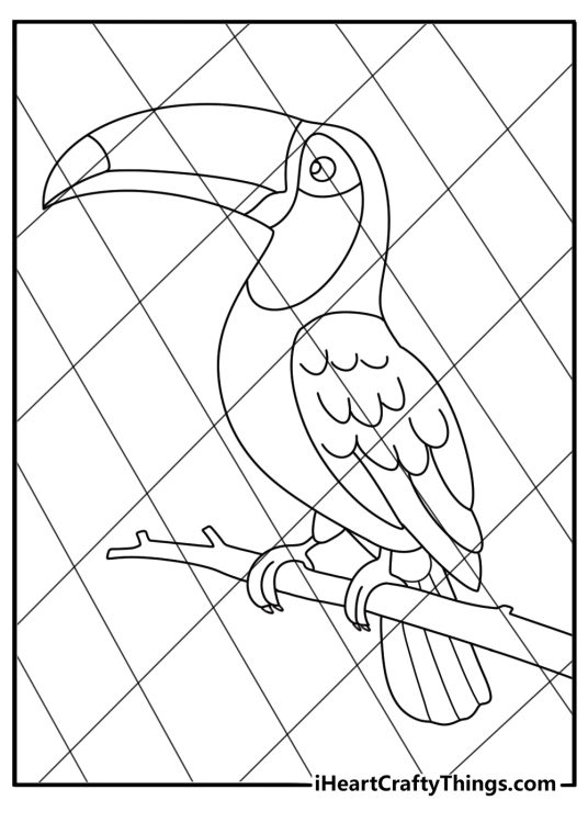 Toucan with large beak on perch in aviary zoo coloring sheet