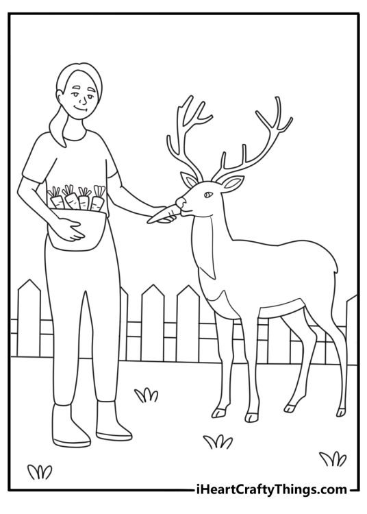 Zoo keeper feeding carrots to deer in fenced area printable coloring page