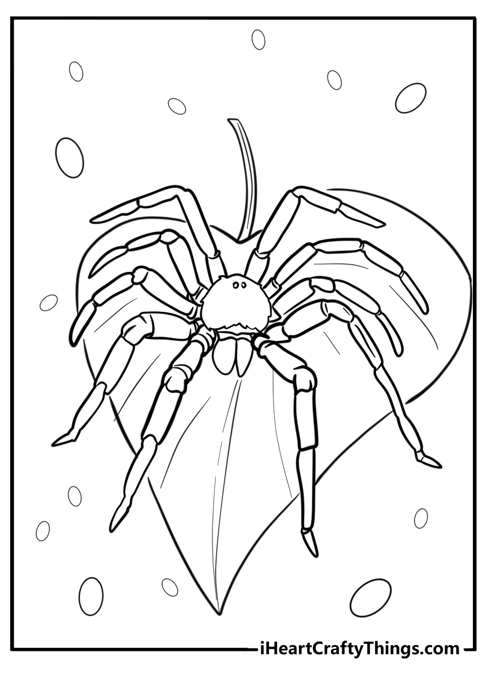 Big spider on a leaf detailed coloring sheet