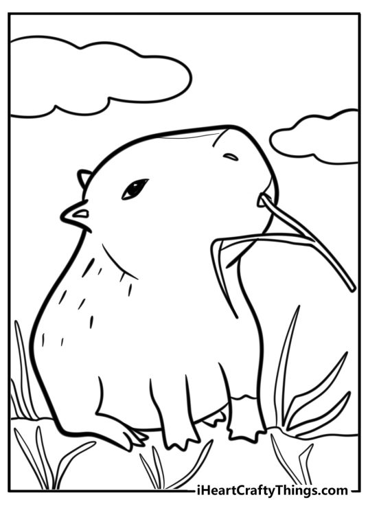 Capybara eating grass detailed coloring sheet