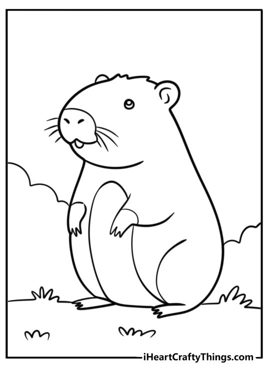 Capybara sitting in the grass coloring page for kids
