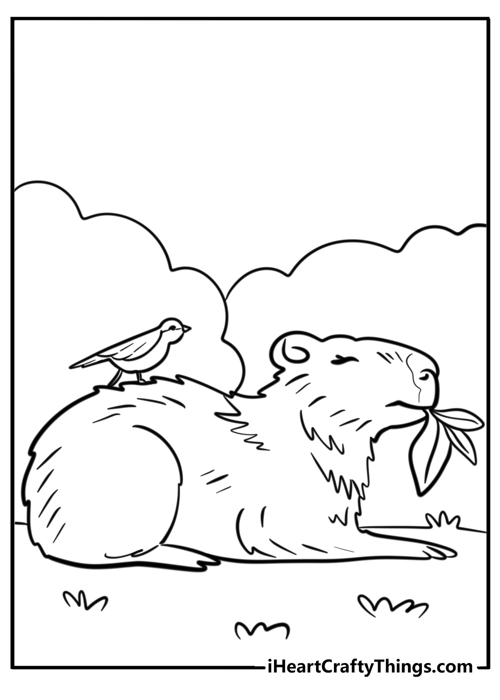 Capybara with a bird sitting on its back fun coloring sheet