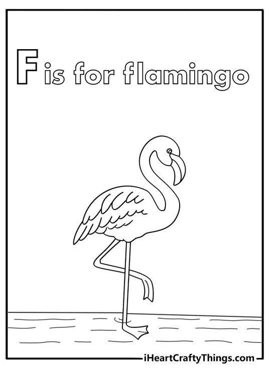 f is for flamingo coloring page with a tall bird in shallow water